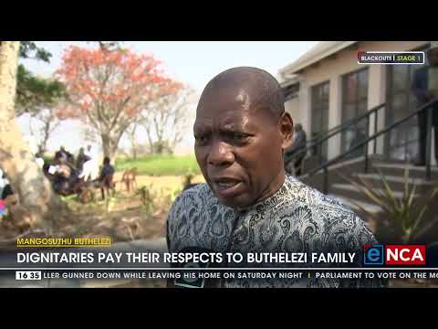 Mangosuthu Buthelezi The life and legacy of a political veteran