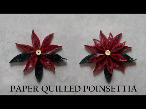download lagu mp3 mp4 Quilled Poinsettia, download lagu Quilled Poinsettia gratis, unduh video klip Quilled Poinsettia