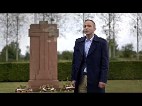 Błękitna Armia 1917   1919