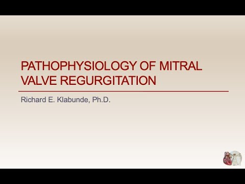 Mitral regurgitation pathophysiology