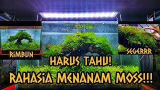 Download lagu Hal yang Harus Diperhatikan Dalam Menanam dan Merawat Moss Aquascape:Tutorial dan Tips Agar Berhasil mp3