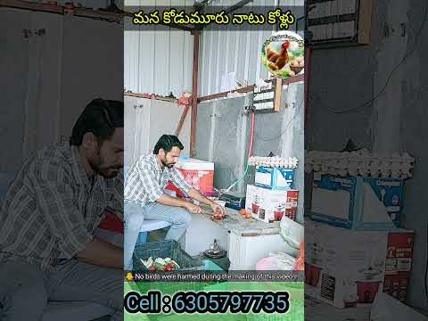 పచ్చికూర + దుంప మిక్స్ = కోళ్లకి పవర్ ఫుడ్! 💪🐓