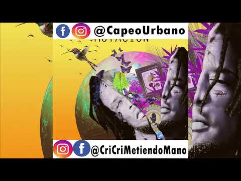 Vakero ft Locos Por Juana -  Morenita del Batey  (ALBUM Mutacion (AUDIO OFFICIAL