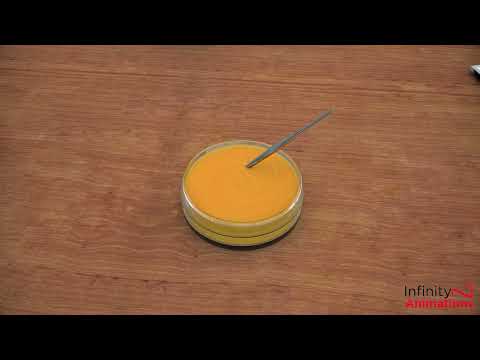 Infinity Animations video.