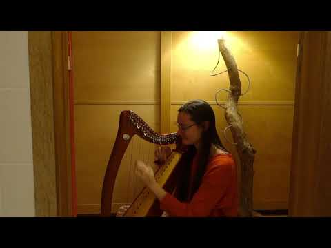 The Skye Boat Song (Harp)
