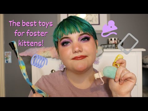 My Favorite Kitten Toys! // a TON of good options for foster kittens + some bad kitten toys