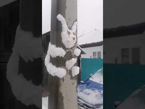🐇 Заяц добегался 🐇 | ТикТок #shorts