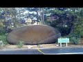 The 1974 Chihuahua UFO Crash UFO Documentary