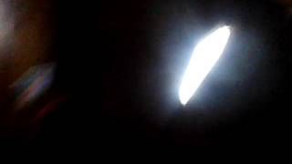 Lalusa de pana vs todo malo