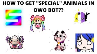 How to get "SPECIAL" animals in OWO bot??