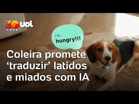 Conversa com pets? Coleira com IA promete traduzir língua animal | O Impensável