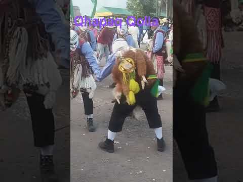 Qhapaq Qolla Anta Cusco Perú