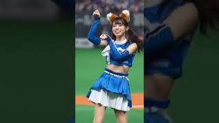 可愛いキツネが迷い込んでる。#shorts #かわいい #おすすめ #日本ハム #きつねダンス #きつね