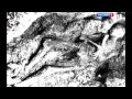 ЛАГЕРЬ СМЕРТИ - Саласпилс Латвия 