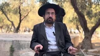 35 לרצח כהן ונביא, תיקון הגשם והמשפט, הר הבית מקום התפילה | הרב אליהו ובר (ישיבת הר הבית) - התמונה מוצגת ישירות מתוך אתר האינטרנט יוטיוב. זכויות היוצרים בתמונה שייכות ליוצרה. קישור קרדיט למקור התוכן נמצא בתוך דף הסרטון