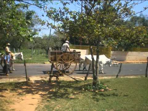 La carreta, por Alberto de Luque