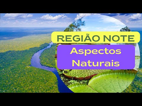 Região Norte: Aspectos Naturais