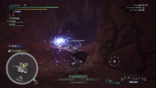 モンスターハンターワールド　ハンマー使い