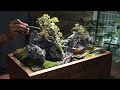 How To Build A Mini Landscape Of Valley Garden