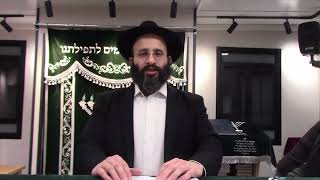 איך לחזור בתשובה בלי לנתק קשר עם המשפחה (הרב אלחנן משה נחמנסון) - התמונה מוצגת ישירות מתוך אתר האינטרנט יוטיוב. זכויות היוצרים בתמונה שייכות ליוצרה. קישור קרדיט למקור התוכן נמצא בתוך דף הסרטון