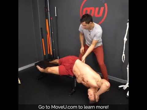 QL Stretch &amp; Strength Exercise -MoveU