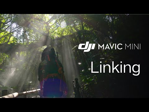 Mavic Mini | How To Link The Remote Controller