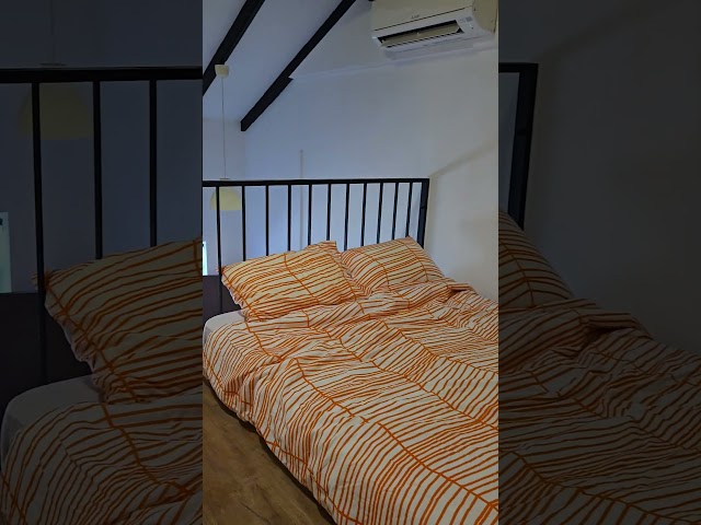 Studio Terraced House (Landed) for Rent in Everitt Road - Image 11