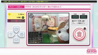 ネットキャッチャー　ネッチ_20200804073512