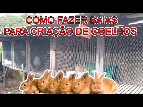 , title : 'COMO FAZER BAIAS PARA CRIAÇÃO DE COELHOS - Gaiola para coelho ! / Mini Sítio'
