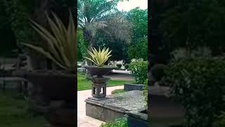 Download lagu bunga desa #rhomairama #ponorogotv2# mp3