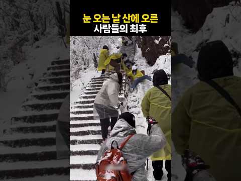 눈 오는 날 산에 오른 사람들의 최후