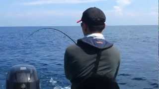 preview picture of video '2nd Sailfish @ Kuala Rompin - NTUAC Annual Offshore Fishing Competition 2012'