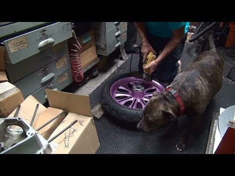 #134 how to do it, remove broken sprocket pulley bolts rear wheel harley twincam by tatro machine