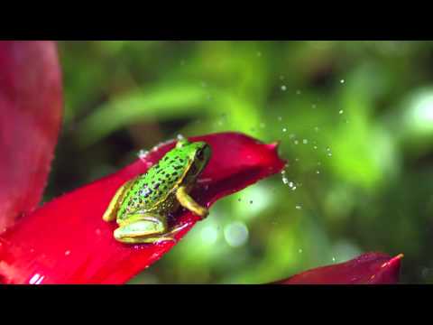 Mes premiers effet "speciaux"