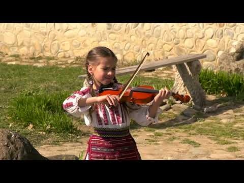 Alexandra Sofei   Sarba gorjeneasca