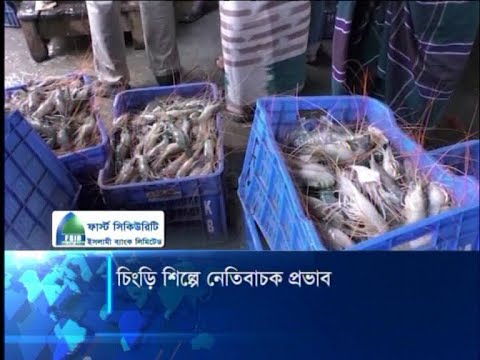 চিংড়ি শিল্পে নেতিবাচক প্রভাব