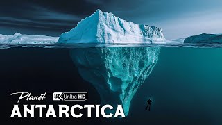 Exploring Antarctica | Unveiling the Secrets of Earth’s Final Frontier