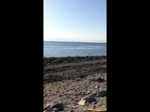 Kirat Sidhu at beach white rock