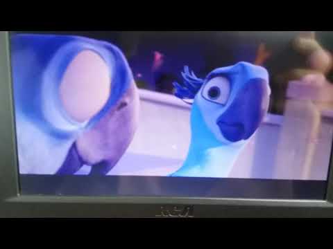 Blu and Jewel love birds well not exactly/Rio Movie