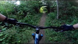 Mole Trap - Galbraith Mountain - Bellingham - Washington