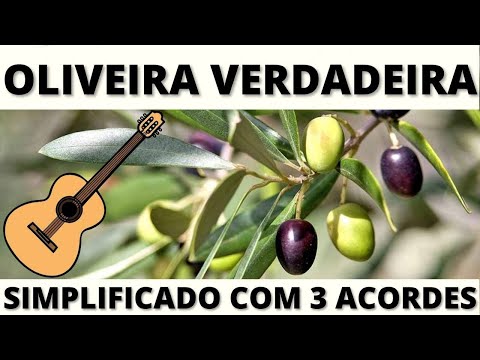 Oliveira Verdadeira - Corinhos Evangélicos