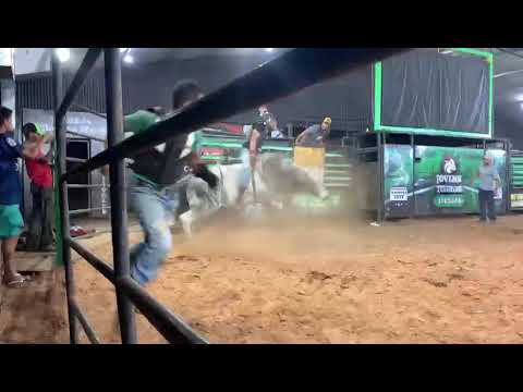 touro cojack da red Bucking bulls