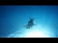 M A S The Seagull And The Mermaid Underwater Ballet Music Video Re Edited
