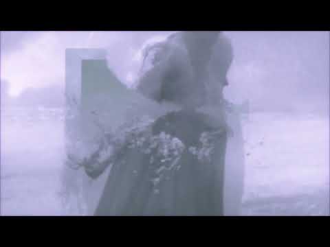 almogfx x vinter - purple coast