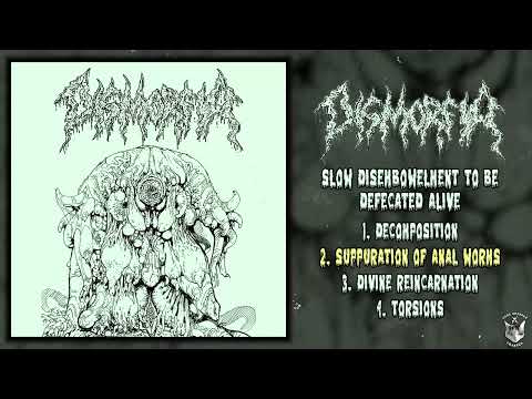 Dismorfia - Slow Disembowelment To Be Defecated Alive 7" FULL EP (2025 - Goregrind / Deathgrind)