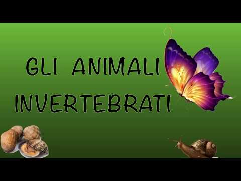 Gli animali invertebrati in sintesi