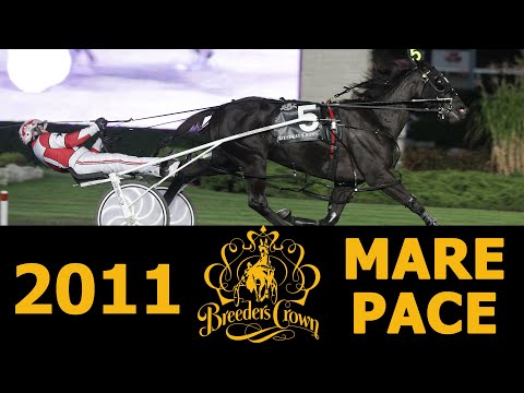 2011 Breeders Crown - Anndrovette - Mare Pace