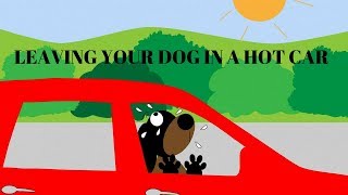 HOT TOPIC HOW LONG IT TAKES FOR A DOG TO BE IN DANGER IN A HOT CAR