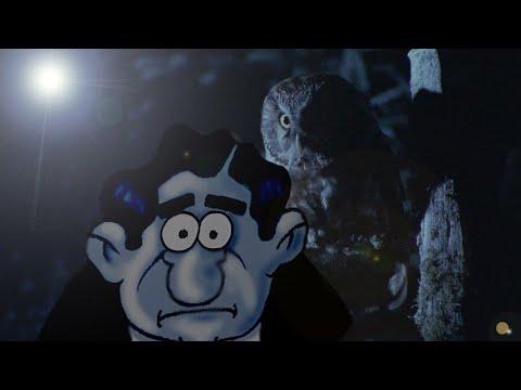 Miki Fahri Amerika Albüm Videosu 2