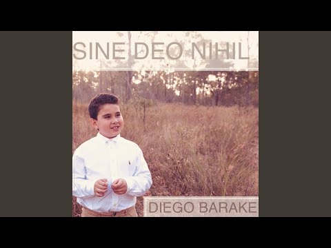 Anii trec atât de repede (instrumental)